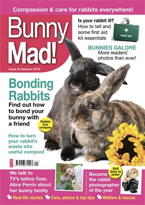 Bunny Mad Vasara 2016 žurnāla izdevums - majastrusis.lv
